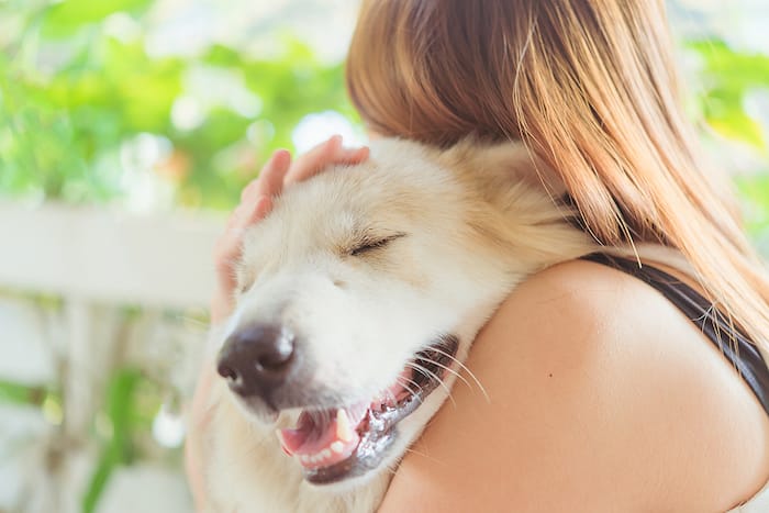 human hugging dog