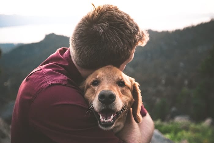 human hugging dog