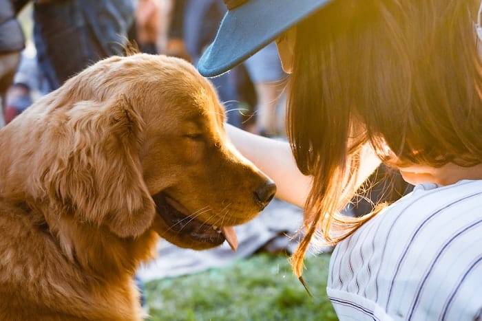 dog loving human