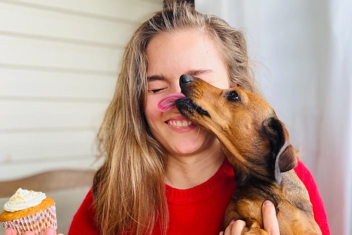 Why Do Dogs Lick You? – Forbes Advisor