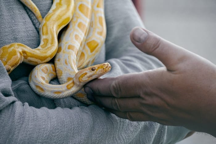 man holding snake