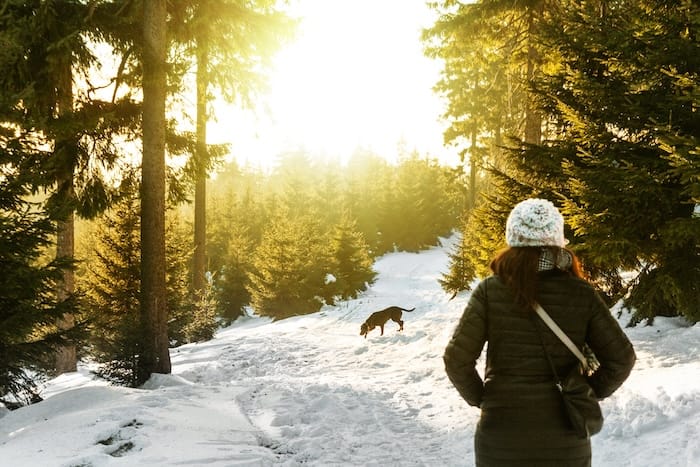 woman walking in forest with dog off leash in snow
