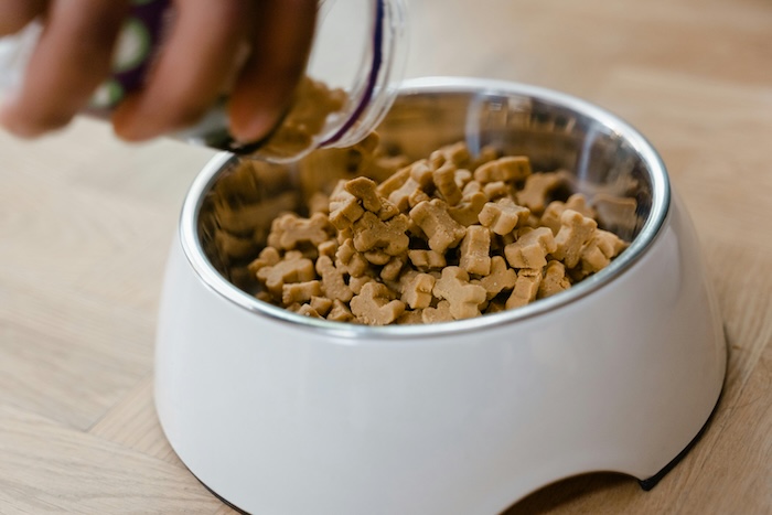 putting dog food in a bowl